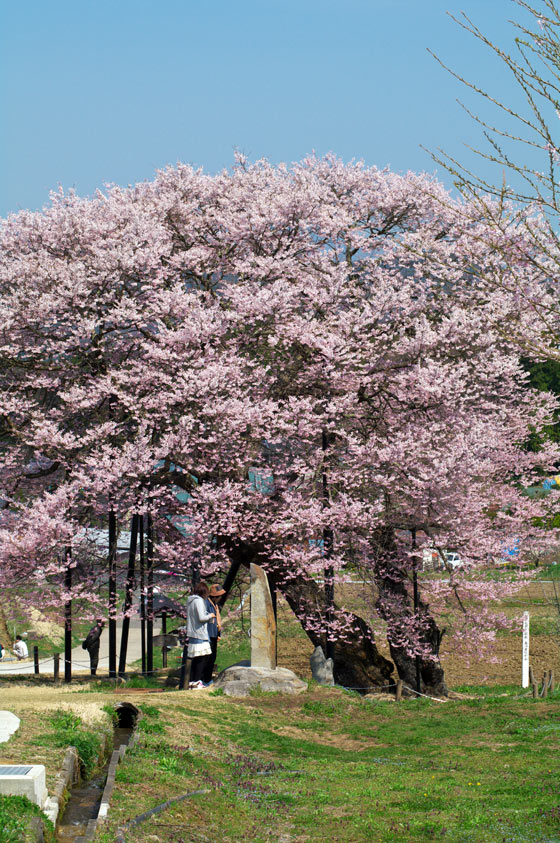 pic8.jpg(171089 byte)