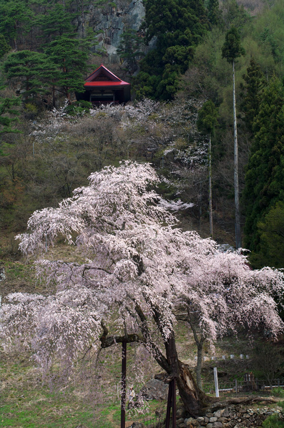 pic1.jpg(133065 byte)