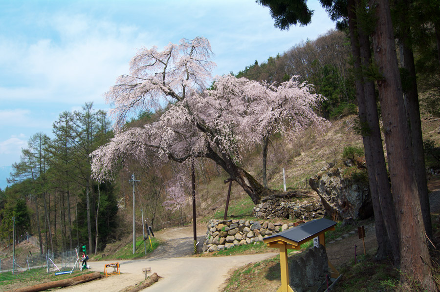 pic1.jpg(133065 byte)