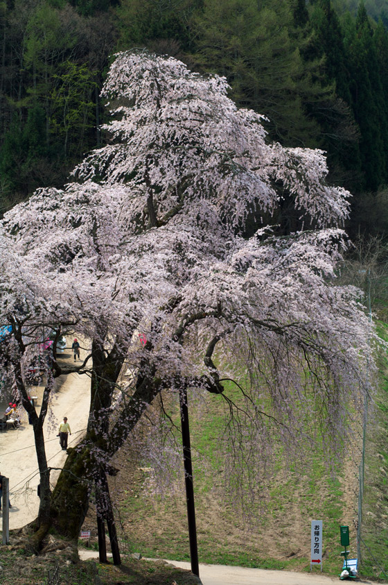 pic3.jpg(98777 byte)