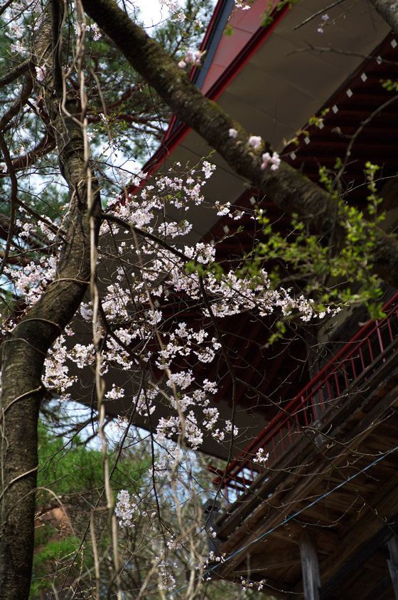 pic4.jpg(135897 byte)