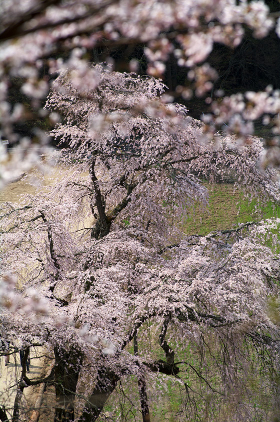 pic5.jpg(148723 byte)