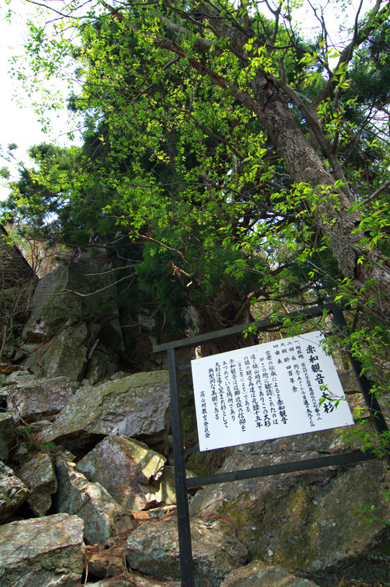 pic8.jpg(171089 byte)