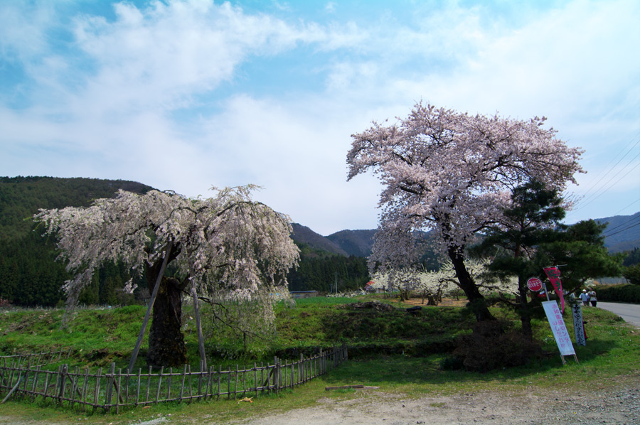 pic4.jpg(135897 byte)