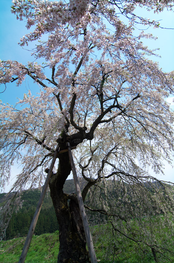 pic5.jpg(148723 byte)