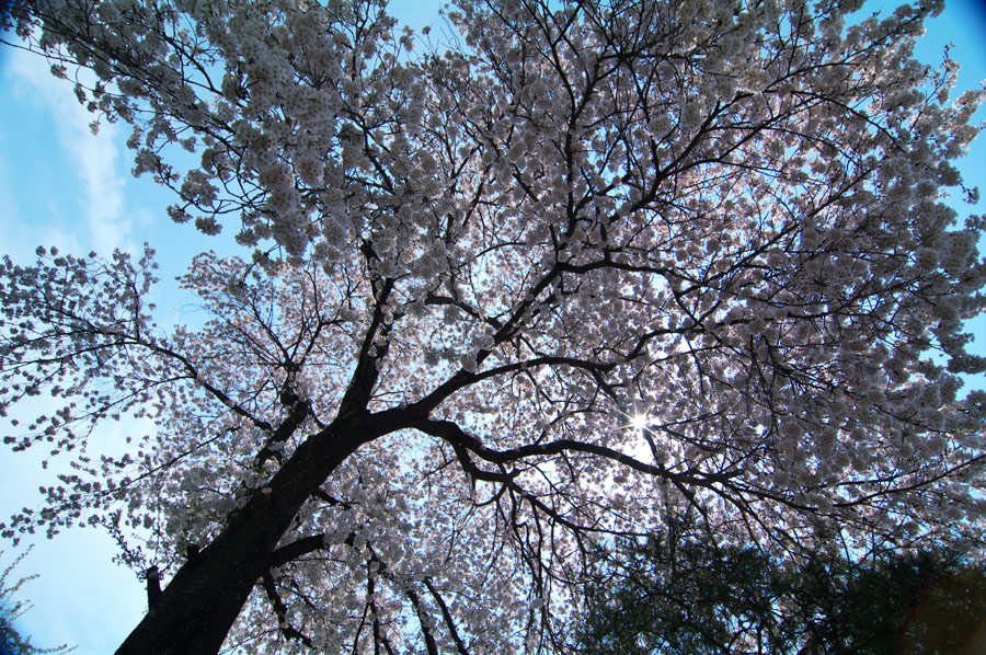 pic8.jpg(171089 byte)