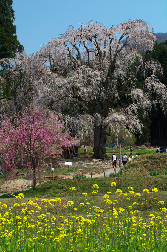 pic1.jpg(133065 byte)