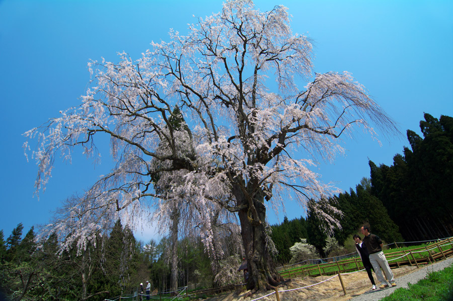 pic1.jpg(133065 byte)