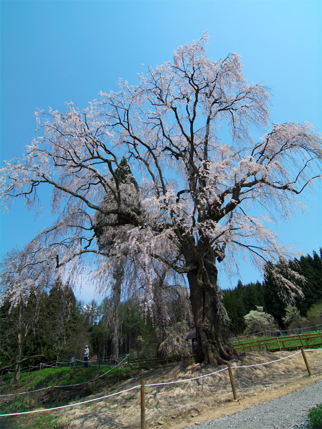 pic1.jpg(133065 byte)