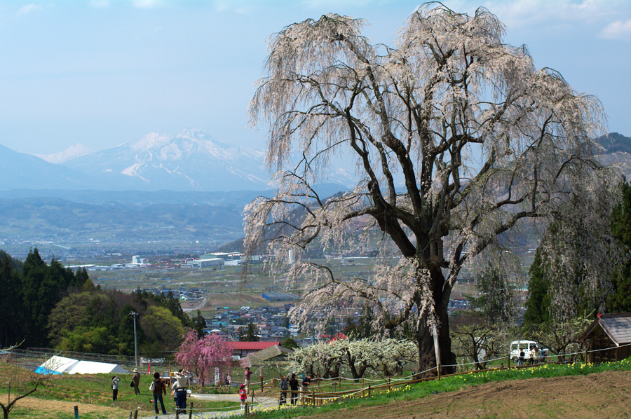 pic1.jpg(133065 byte)