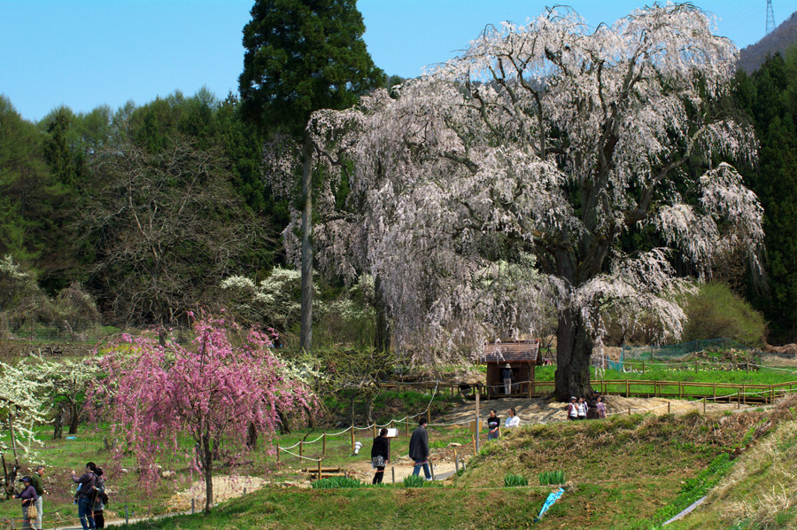 pic2.jpg(97107 byte)