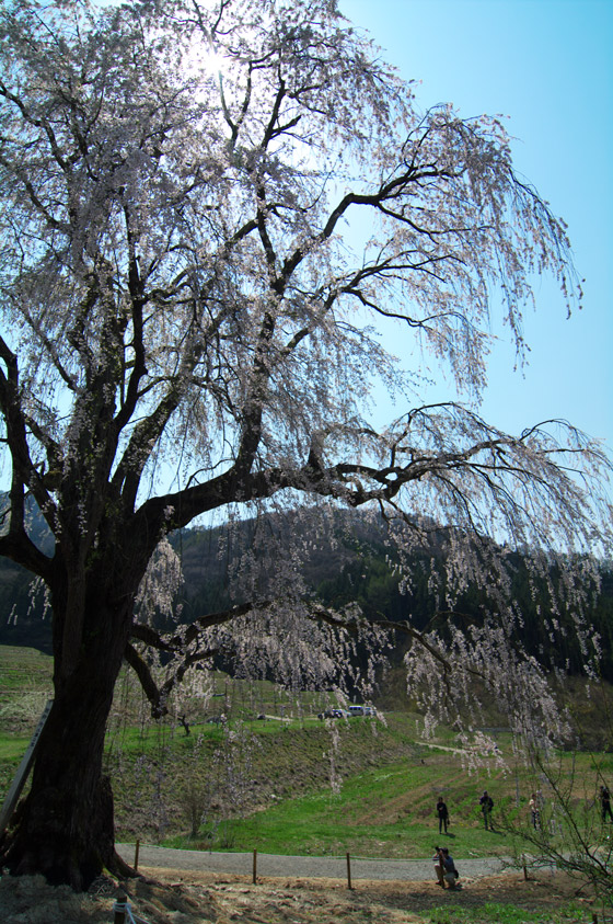 pic1.jpg(133065 byte)