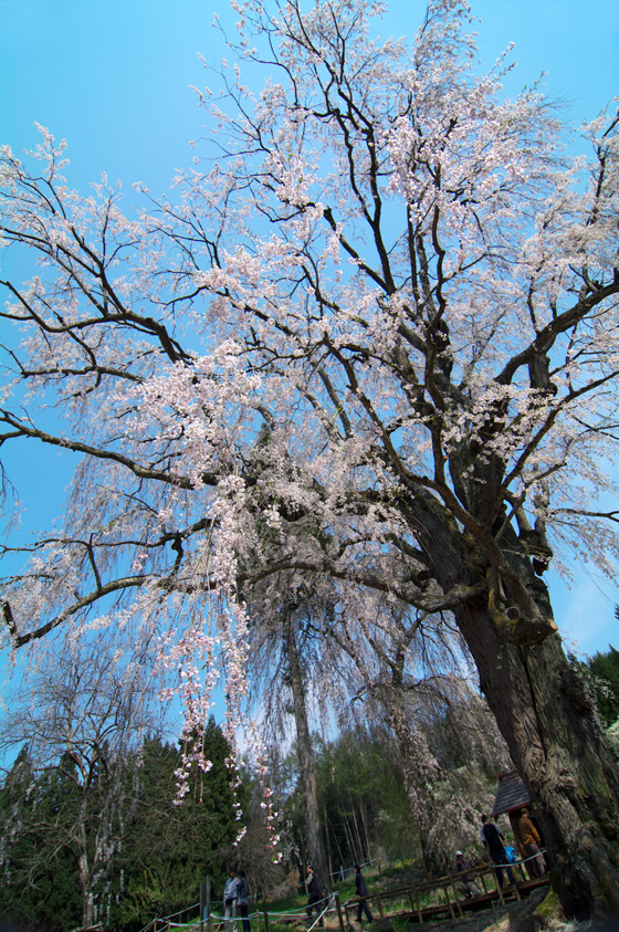 pic1.jpg(133065 byte)