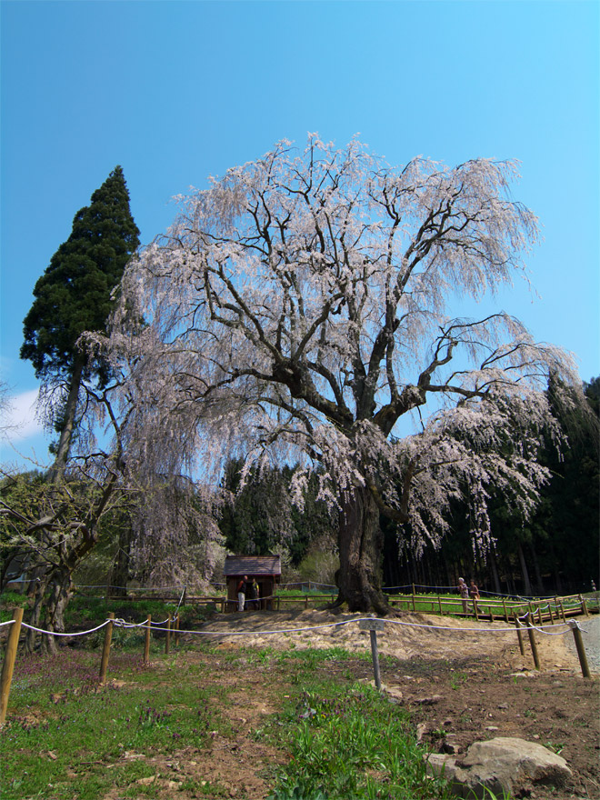 pic1.jpg(133065 byte)