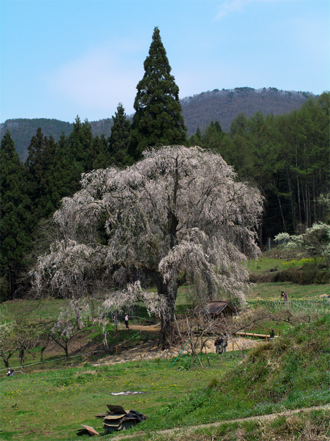 pic5.jpg(148723 byte)