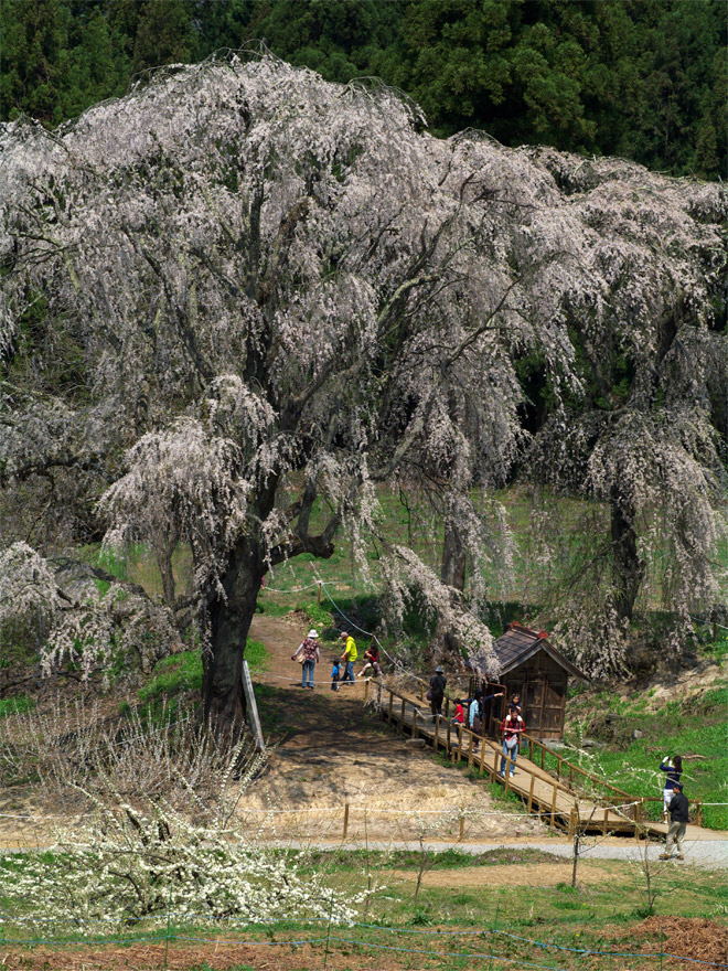 pic6.jpg(152748 byte)