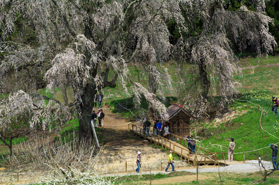 pic8.jpg(171089 byte)