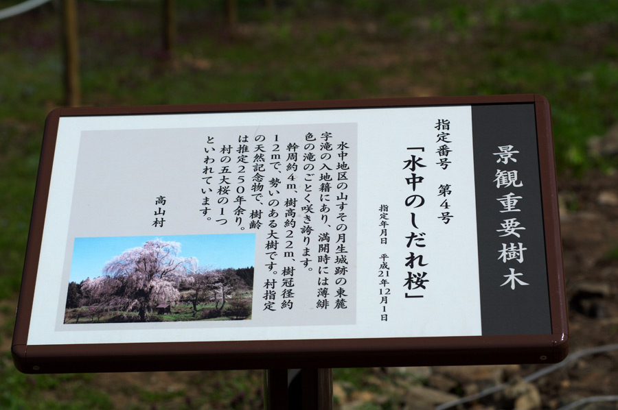 pic8.jpg(171089 byte)