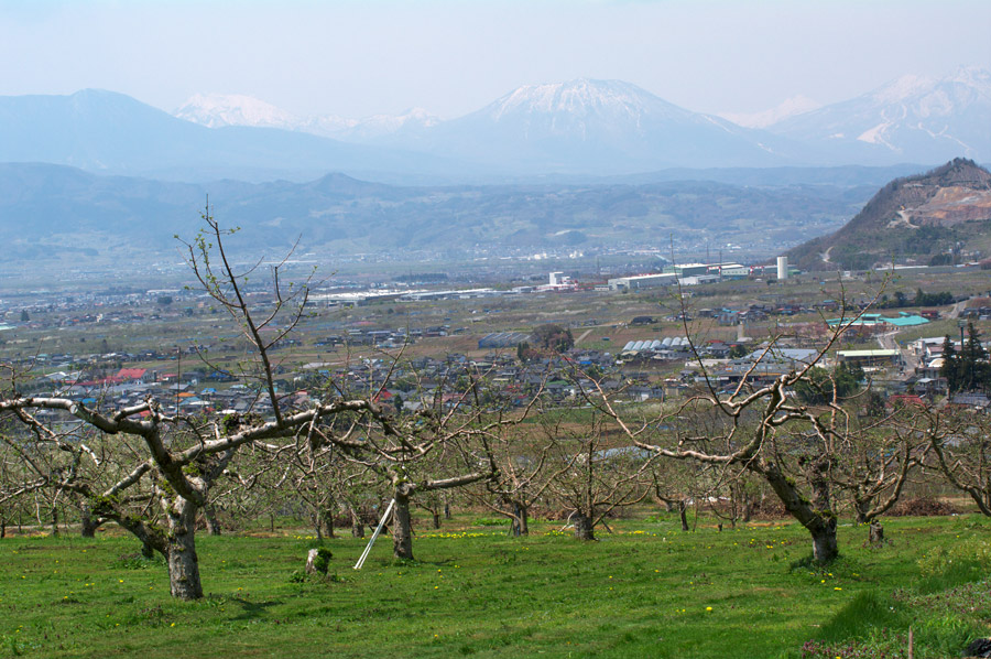 pic4.jpg(135897 byte)