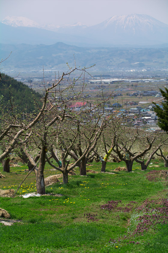 pic5.jpg(148723 byte)