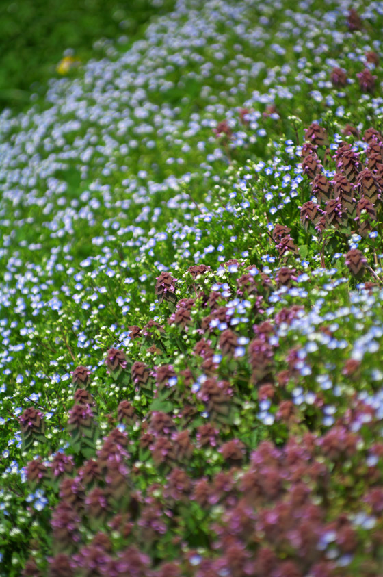 pic6.jpg(152748 byte)