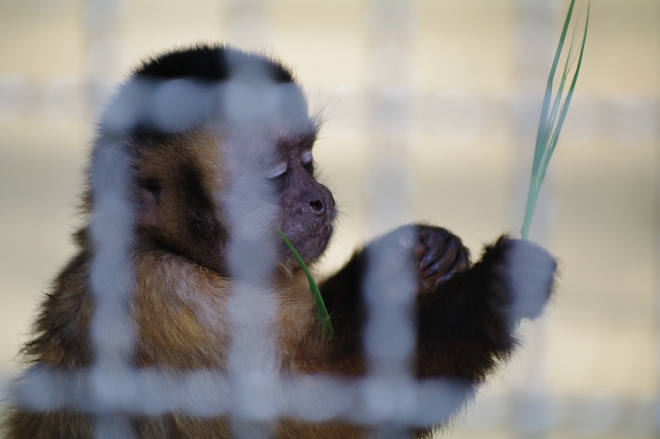 IMGP6812.jpg(113608 byte)