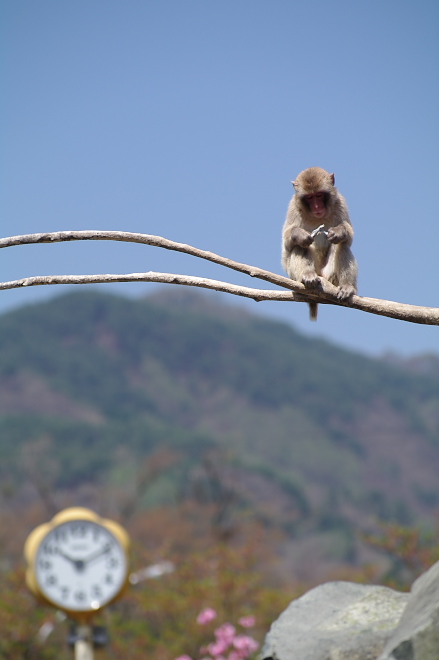 IMGP6917.jpg(91842 byte)