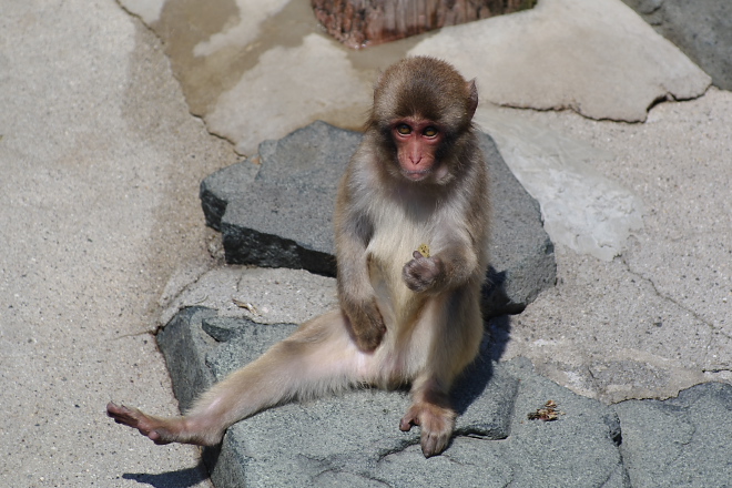 IMGP6925.jpg(191834 byte)