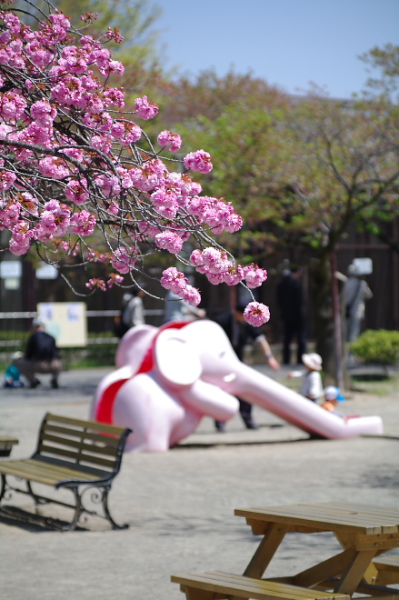 IMGP6952.jpg(197018 byte)