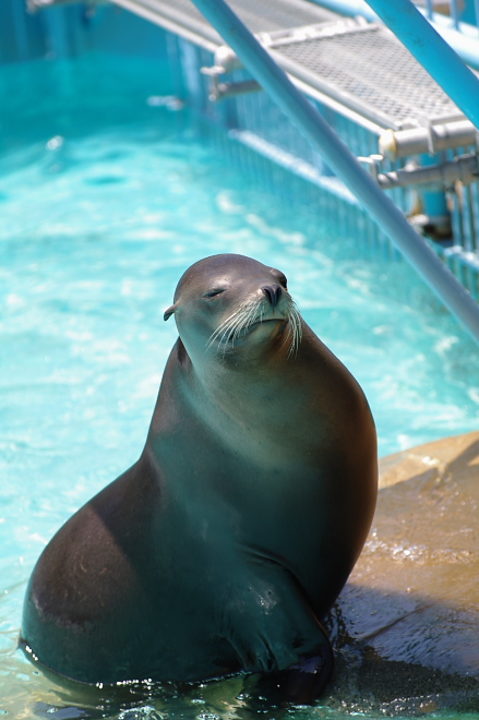 IMGP6978.jpg(149133 byte)