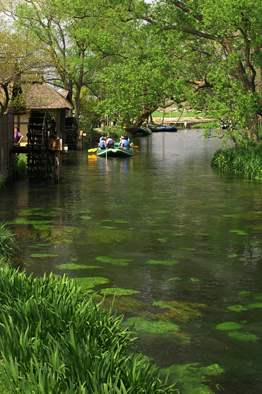 pic1.jpg(133065 byte)