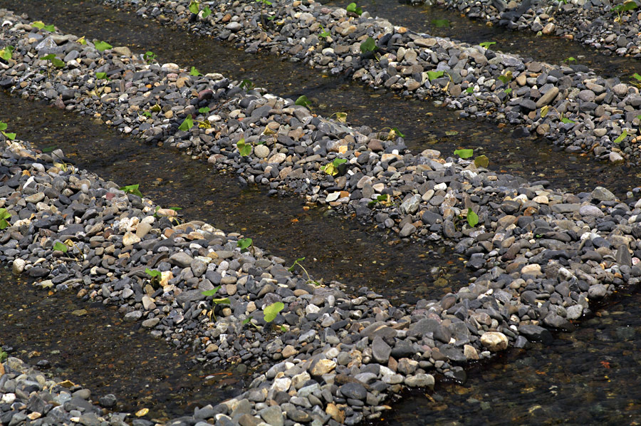 pic6.jpg(152748 byte)