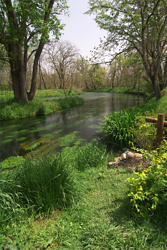 pic2.jpg(97107 byte)