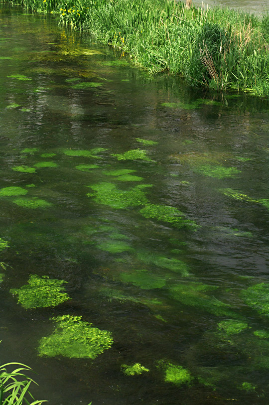 pic4.jpg(135897 byte)