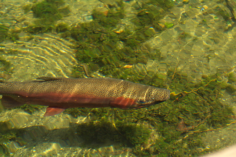 pic5.jpg(148723 byte)