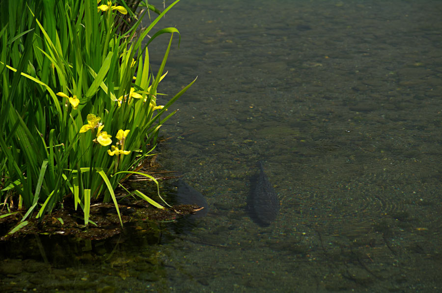 pic6.jpg(152748 byte)