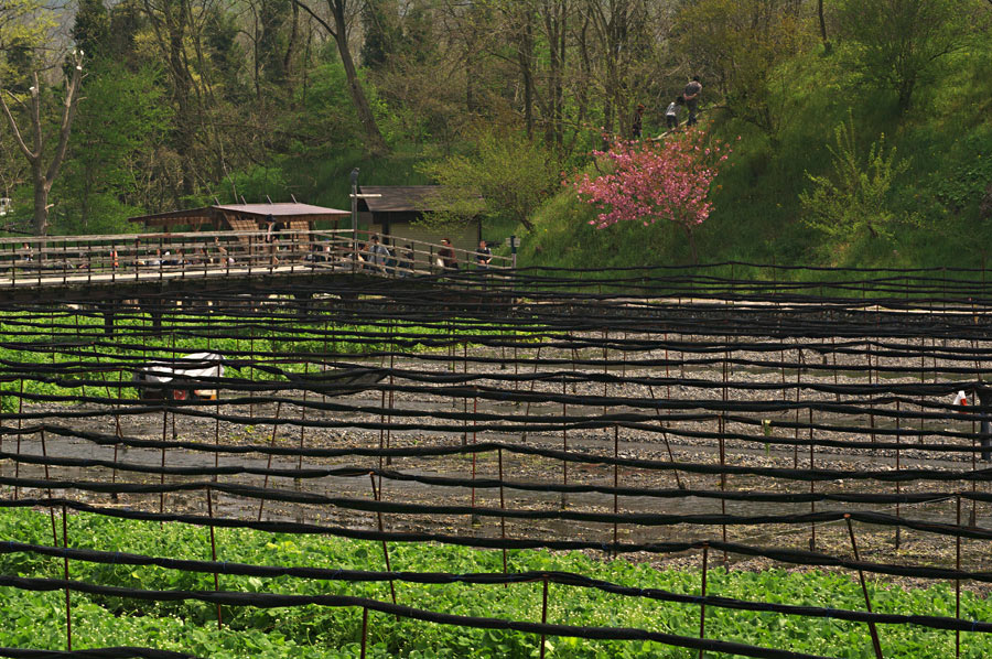 pic6.jpg(152748 byte)