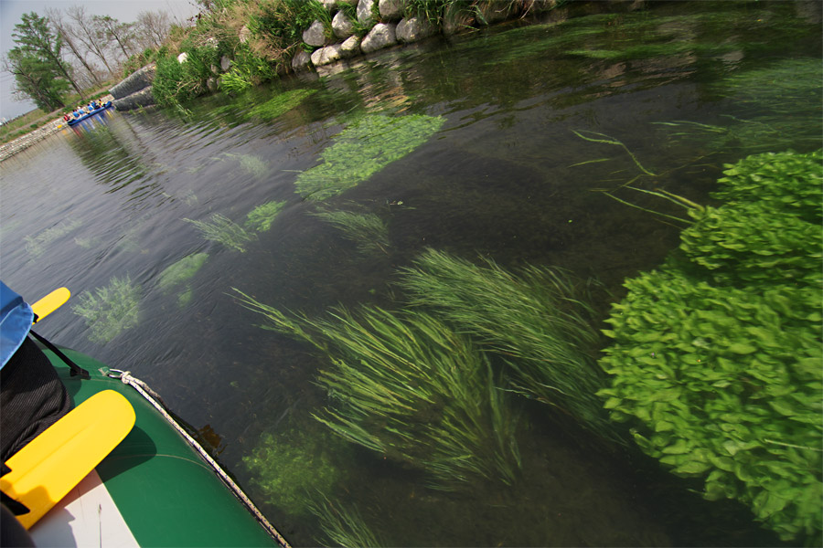 pic3.jpg(98777 byte)