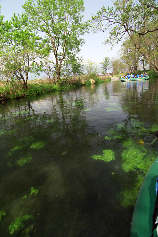 pic4.jpg(135897 byte)