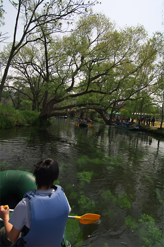 pic5.jpg(148723 byte)