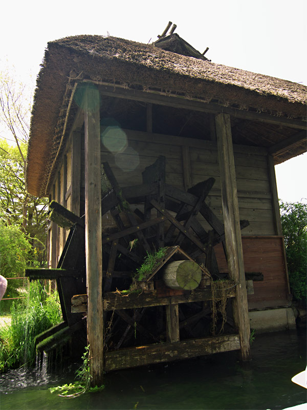 pic6.jpg(152748 byte)