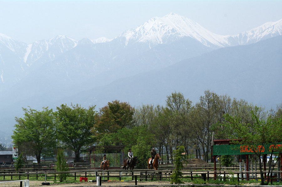 pic1.jpg(133065 byte)