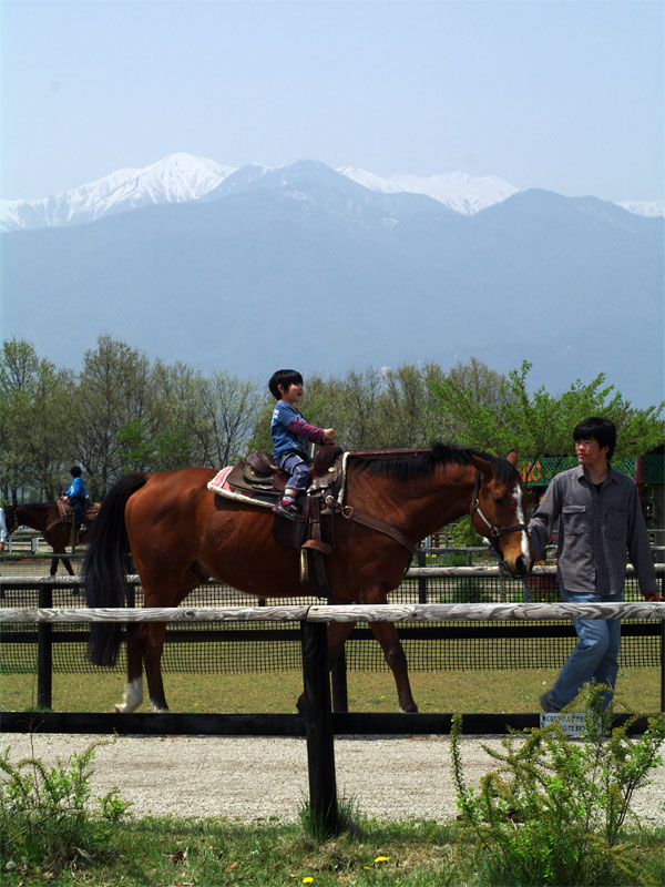 pic2.jpg(97107 byte)