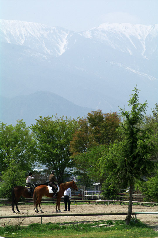 pic3.jpg(98777 byte)