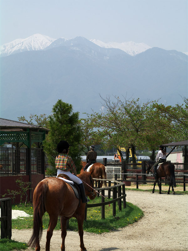 pic5.jpg(148723 byte)