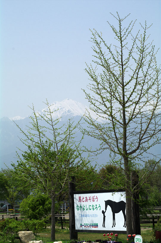 pic6.jpg(152748 byte)