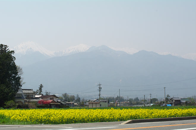 pic6.jpg(152748 byte)