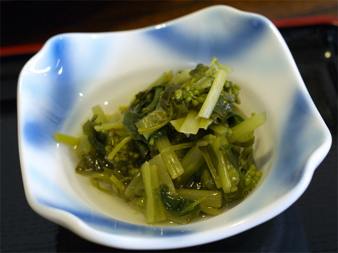 plate1-2.jpg(48613 byte)