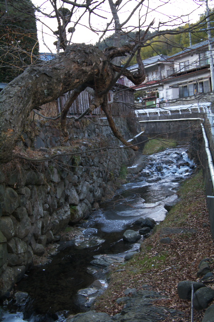 IMGP0118.jpg(272182 byte)