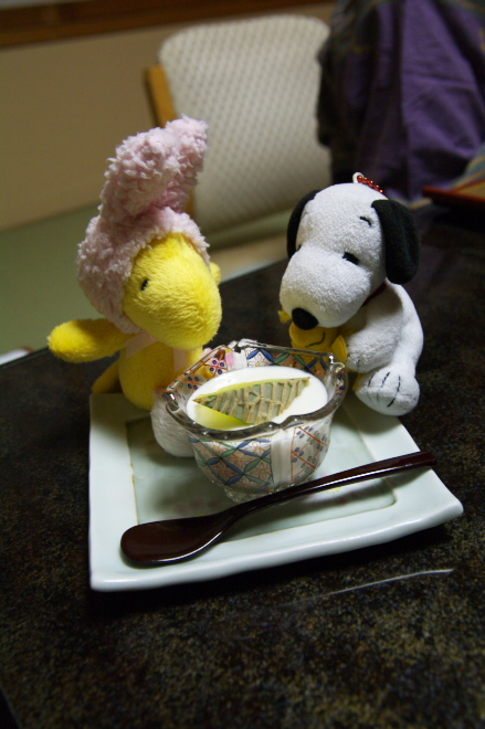 IMGP0179.jpg(168102 byte)